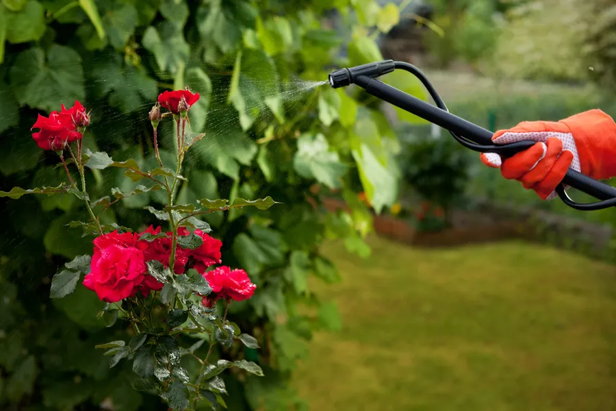 The Importance Of Seasonal Maintenance In Gardening Services Sugar Hill, GA The Importance Of Seasonal Maintenance In Gardening Services Sugar Hill, GA