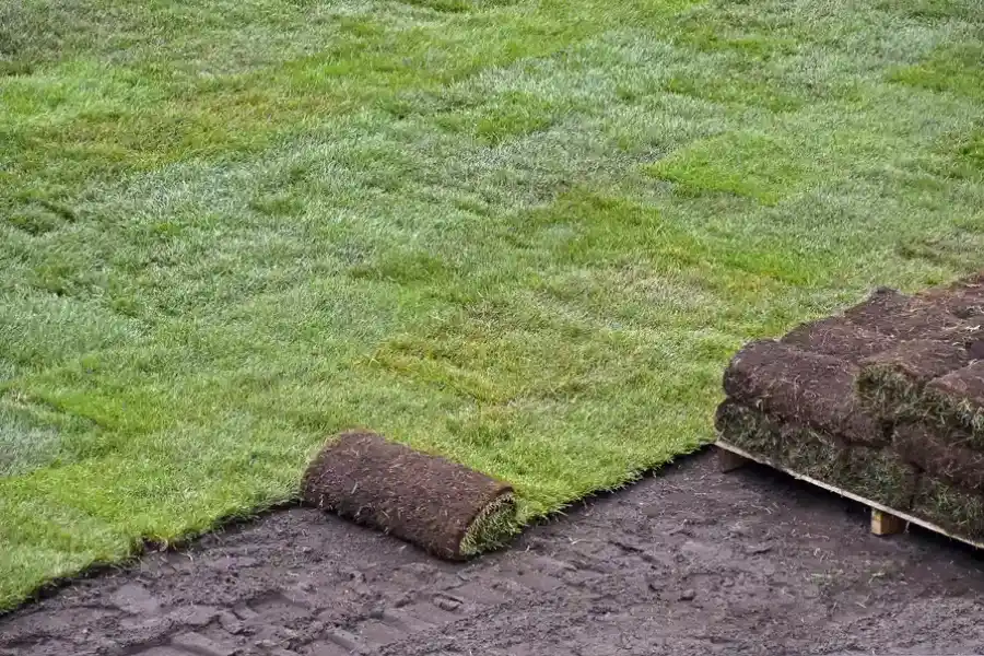 Why Professional Sod Installation Saves Time And Money in Sugar Hill, GA Why Professional Sod Installation Saves Time And Money in Sugar Hill, GA